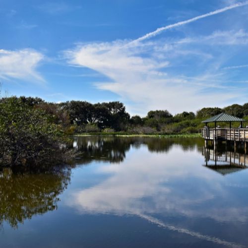 florida wetlands